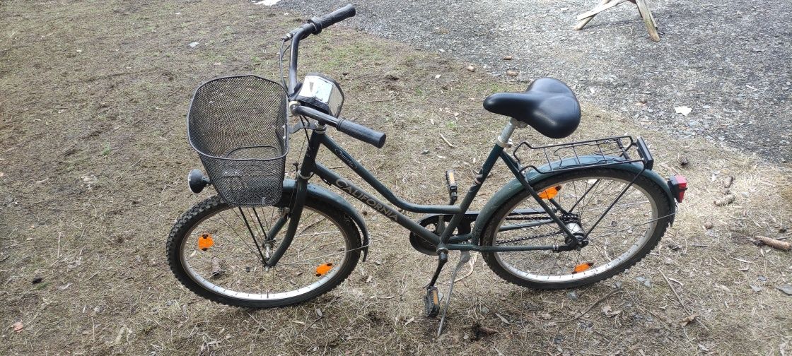 Rower damka holenderka 26