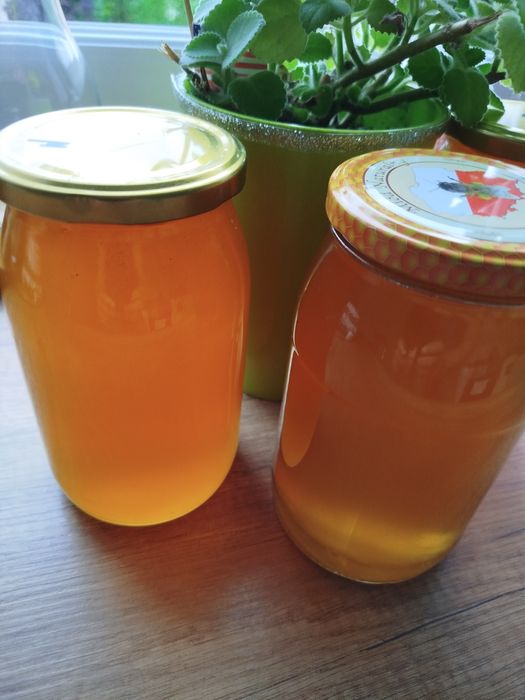 Miód wielokwiatowy, mniszkowy, akacjowy z 2025 roku