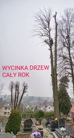 Wycinka drzew, ścinka drzew, Tarnowskie Góry +25km