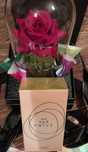 Woda perfumowana EVE PRIVE