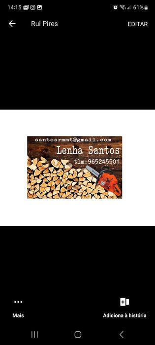 Várias Lenhas e pinhas