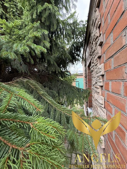 Продаж будинку + земля 30 сот: ставок, баня, колиба - заходь і живи!