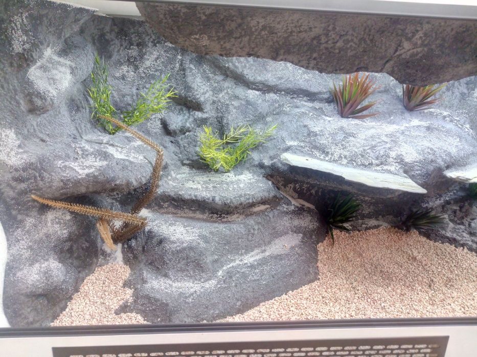 Terrarium pustynne nr52 130/50/50 białe NA ZAMÓWIENIE -agama brodata