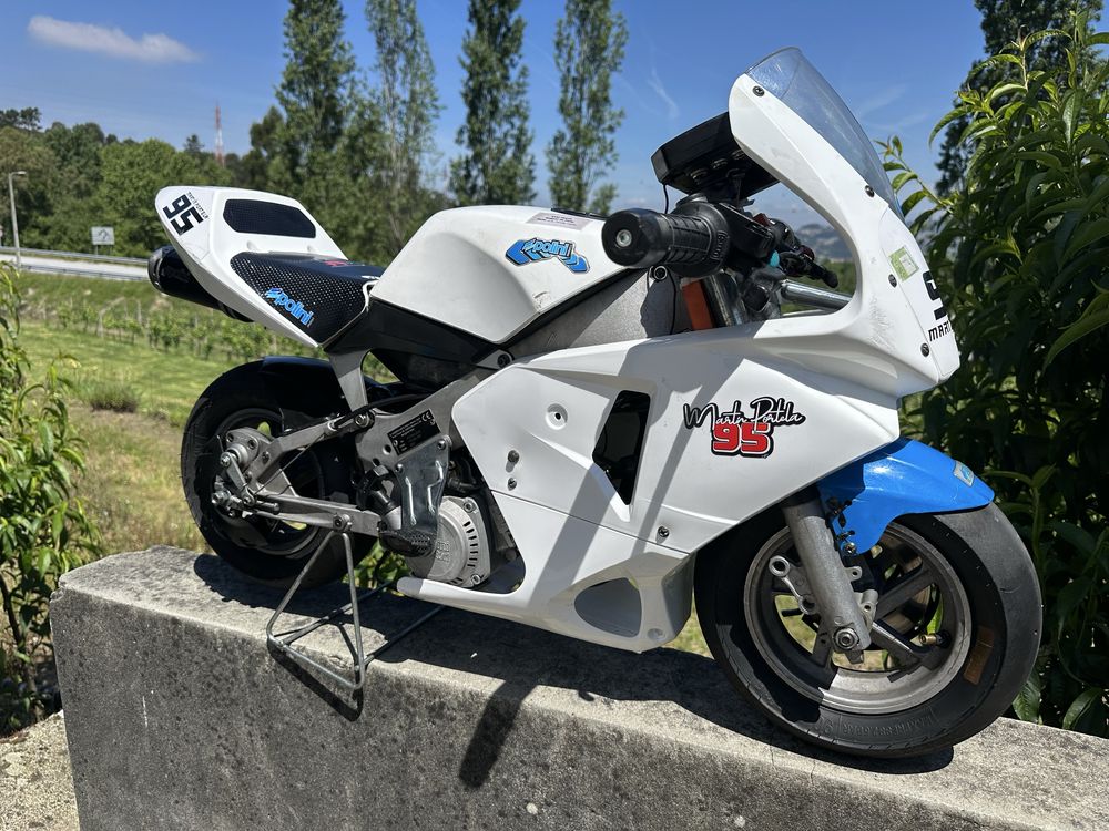 Mota Polini 910 Carena 4.2 criança