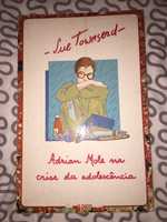 Adrian Mole na Crise da Adolescência