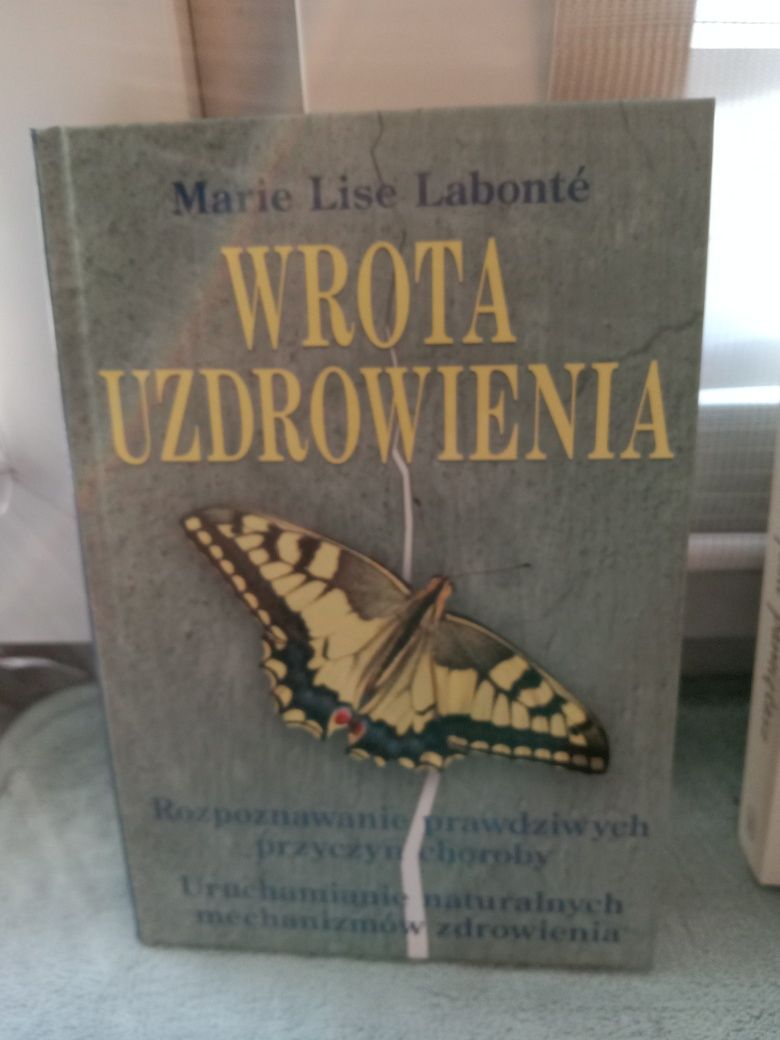 Wrota uzdrowienia , Marie Lise Labonte.