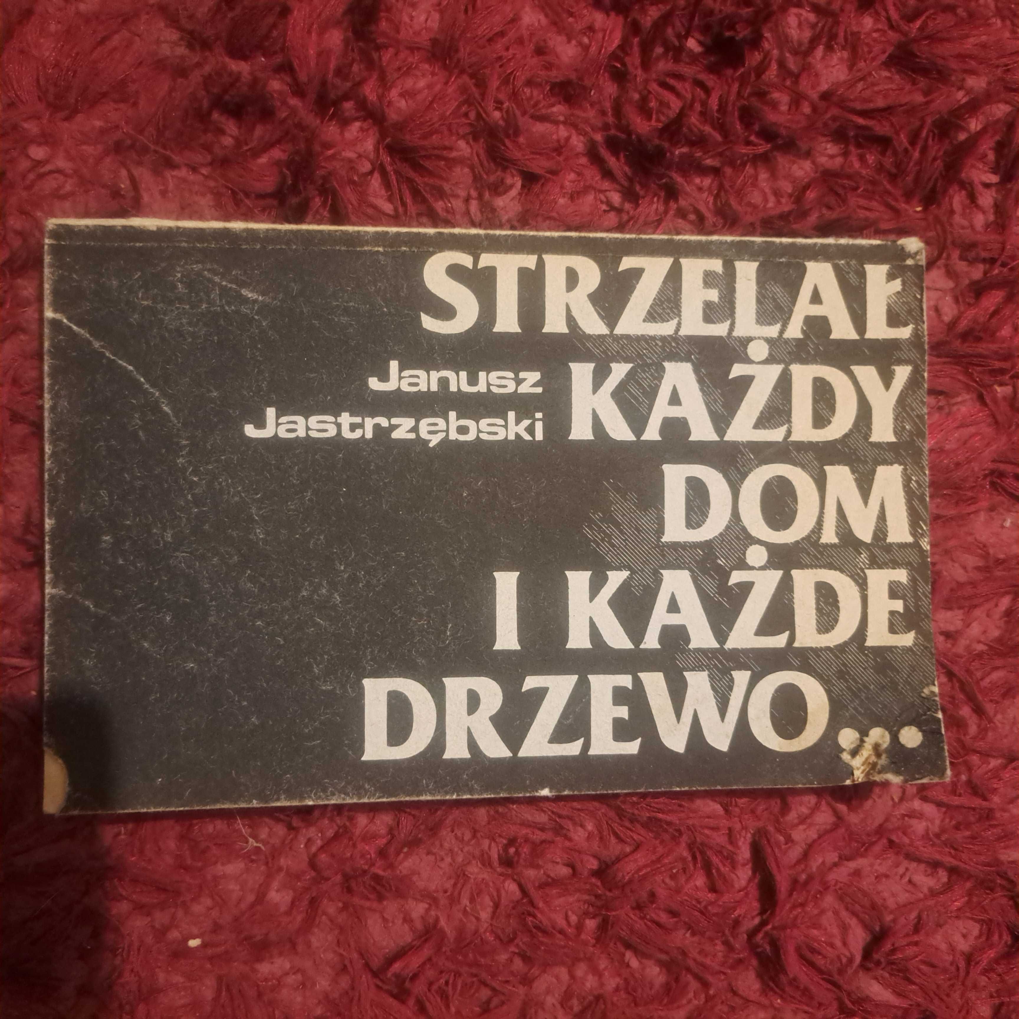 „Strzelał każdy dom i każde drzewo” – Janusz Jastrzębski Kronika Wojny