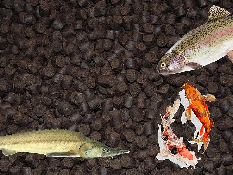 5kg 3mm Aller Bronze tonący karma pokarm pstrąg karp worek oczko wodne