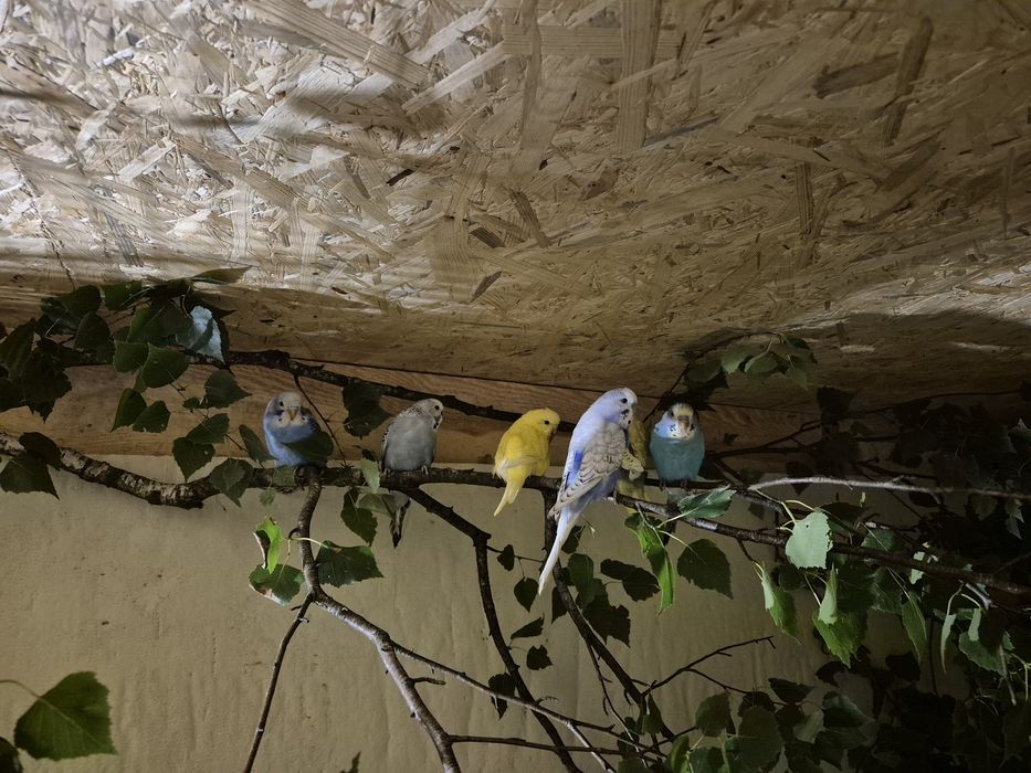 Noclegi na wsi nad rzeką