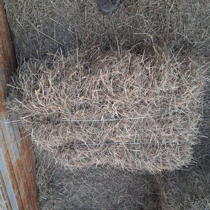 Sprzedam siano kostki