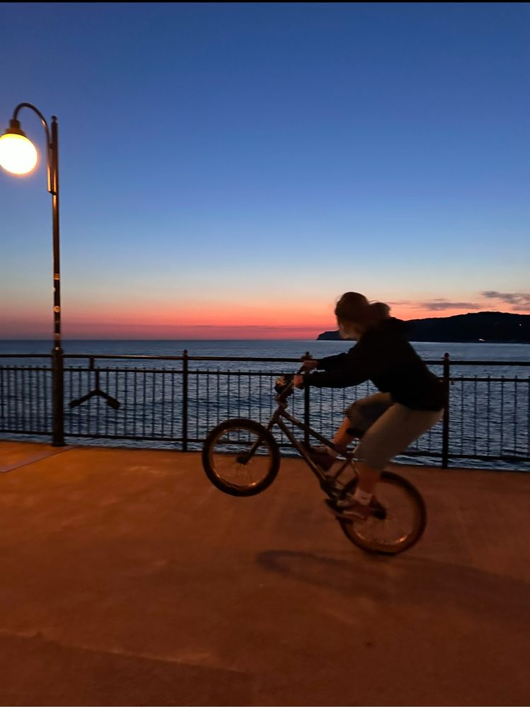 Rower bmx subrossa