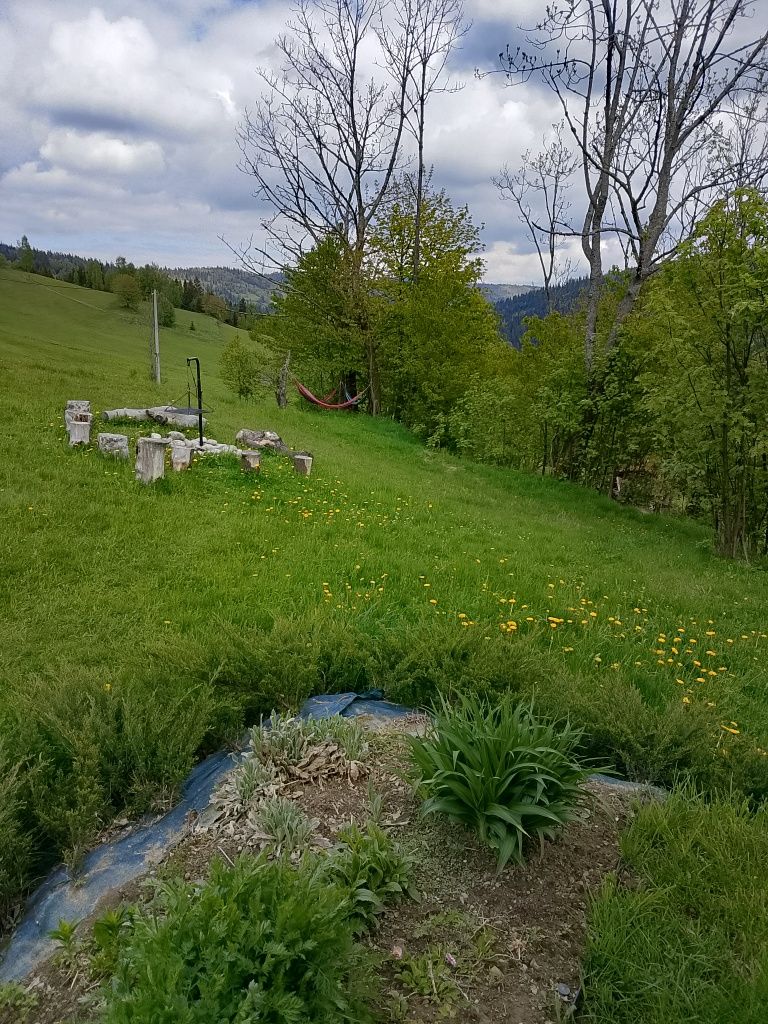 Domek w górach do wynajęcia Nowy Targ Zakopane