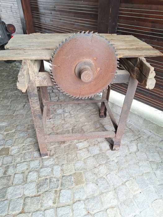 Krajzega piła stołowa