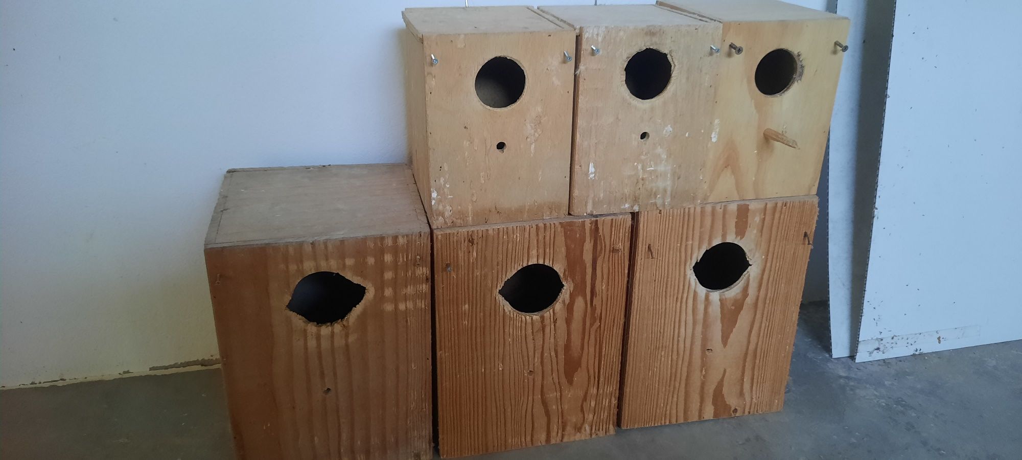 Casais reprodutores de caturras e roseicollis