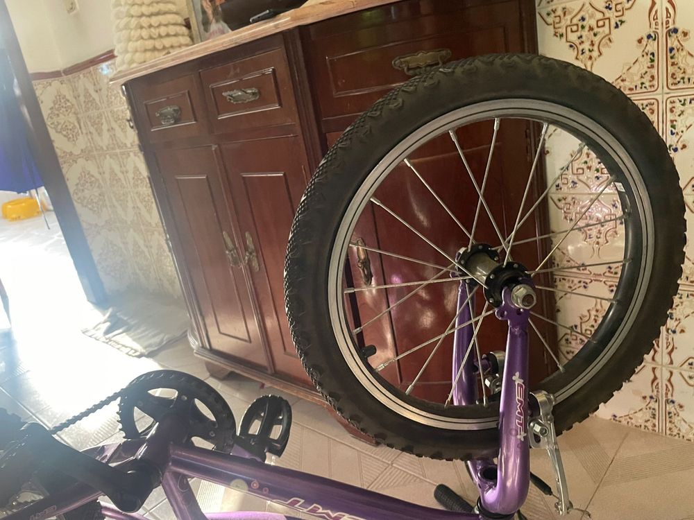 Bicicleta criança
