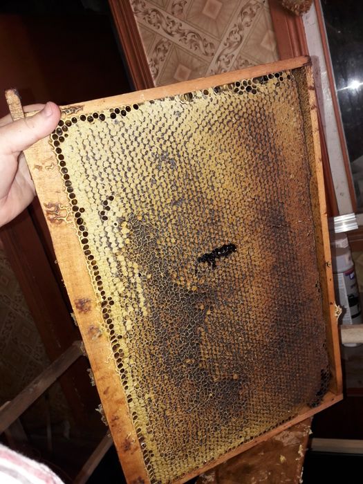 крем - мёд натуральный со своей пасеки  акация майский цветочный