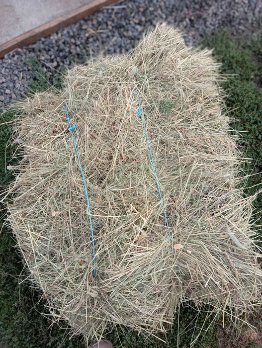 Сіно різнотрав'я