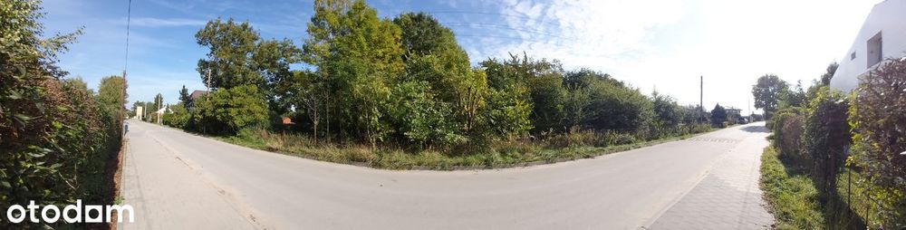 MPZP (zabudowa jednorodzinna), drzewa, sad