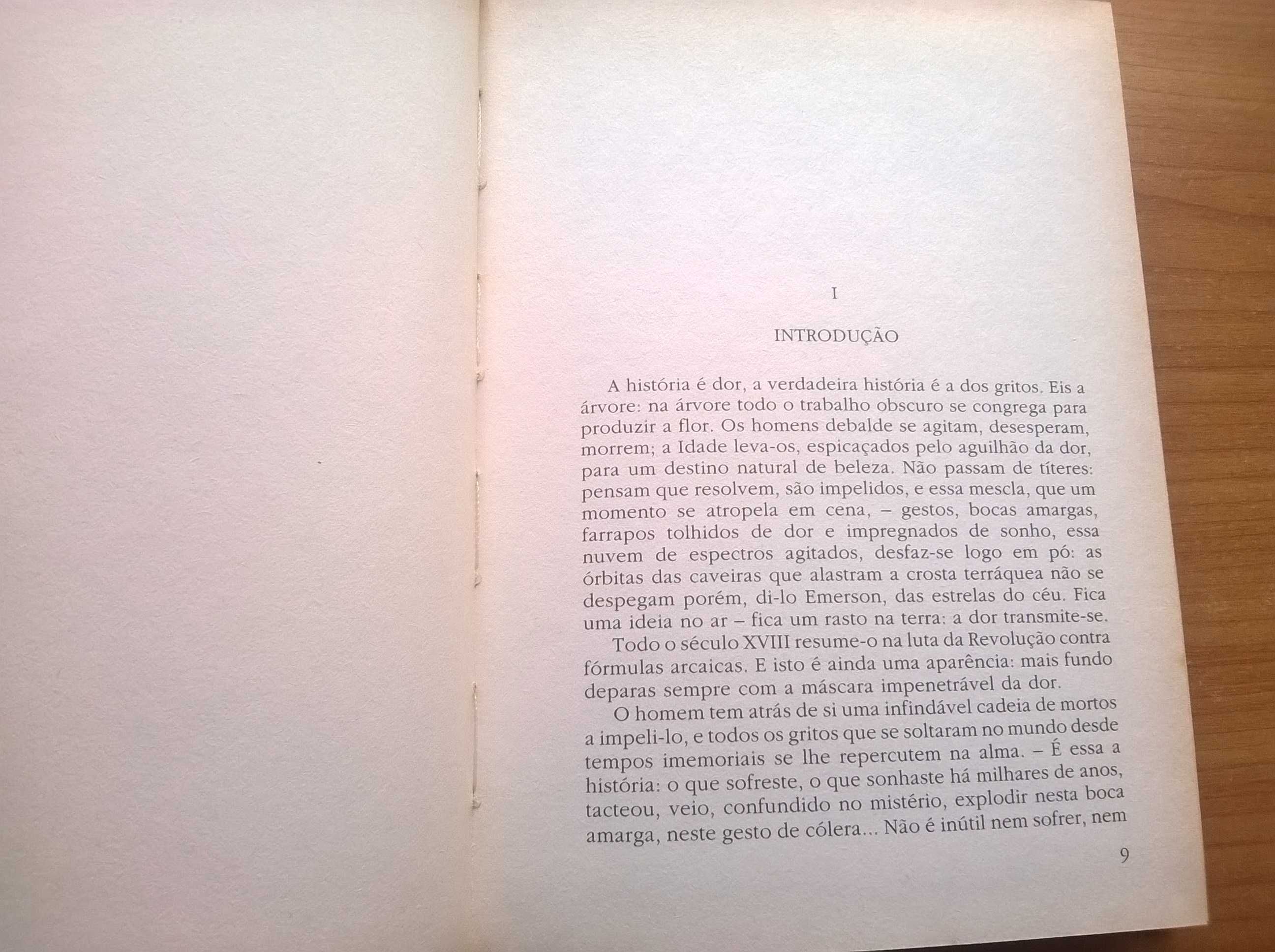 El-Rei Junot - Raul Brandão