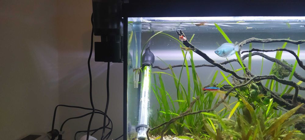 Aquário completo 90litros, 1 ano de uso