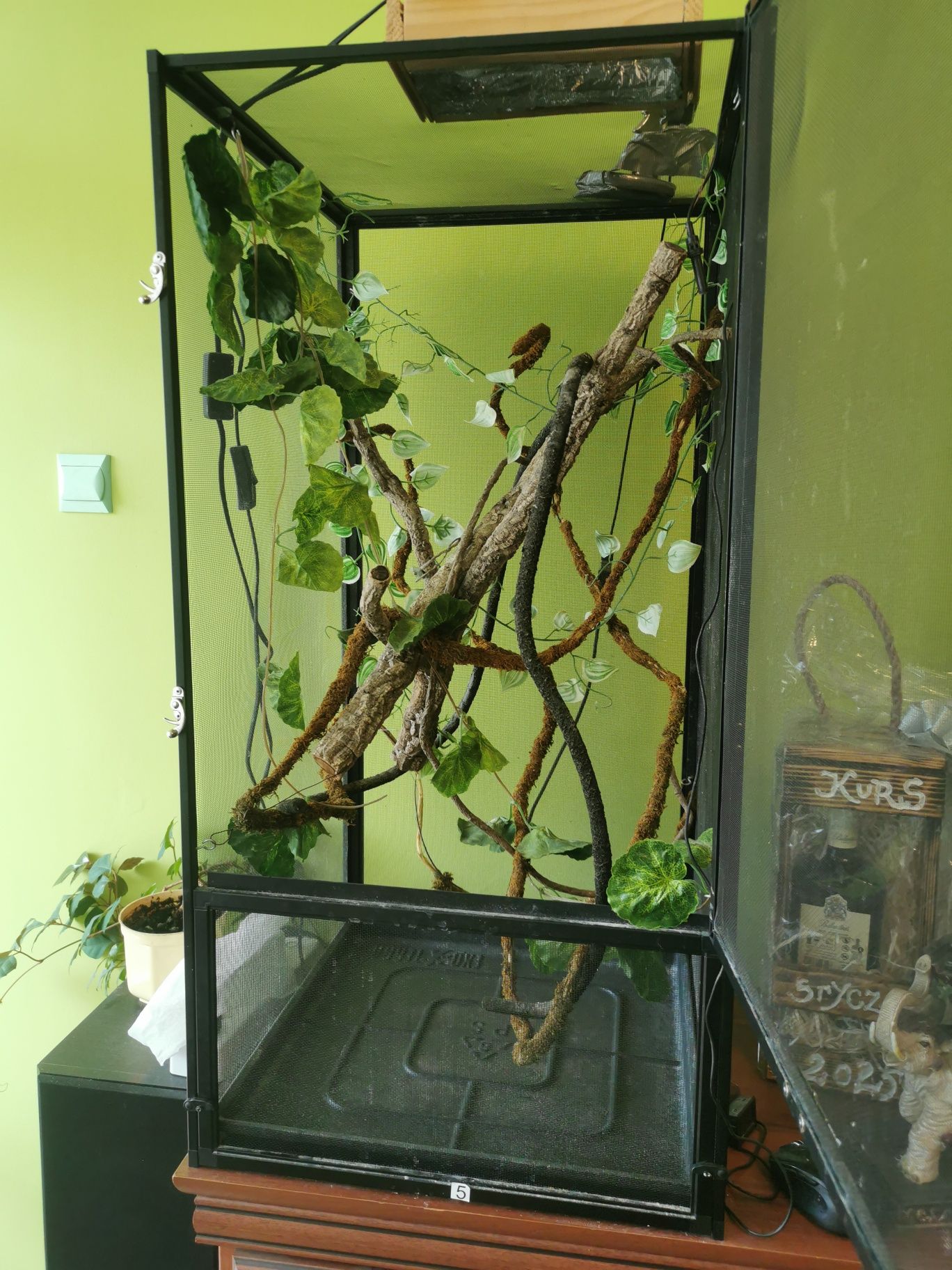 Terarium dla kameleona