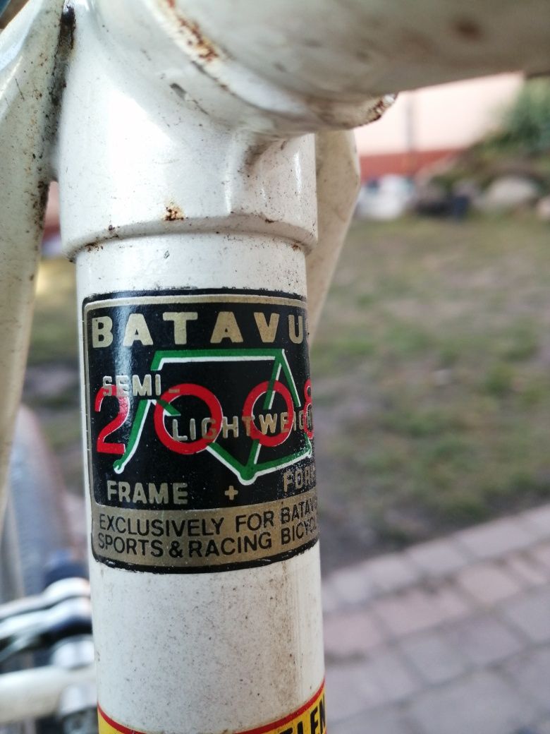 Rower Kolarzowka Batavus.