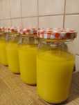 Mazidło domowe maść z wrotyczu 190ml duża mocna