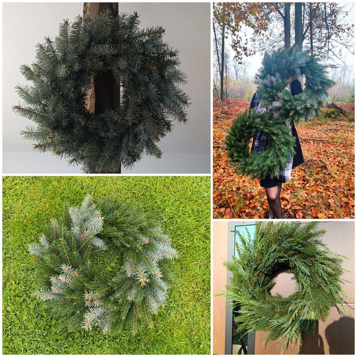 Wianki bożonarodzeniowe