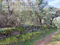 Terreno Rustico