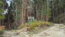 Venda Terreno, Croca, Penafiel