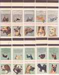 Carteiras de Fósforos - Cães (Completa)