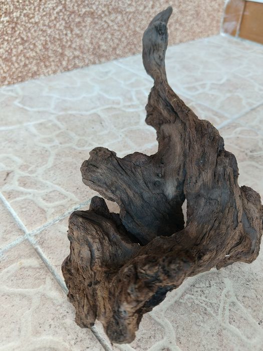 Коряга корч для аквариума дерево Ольхи