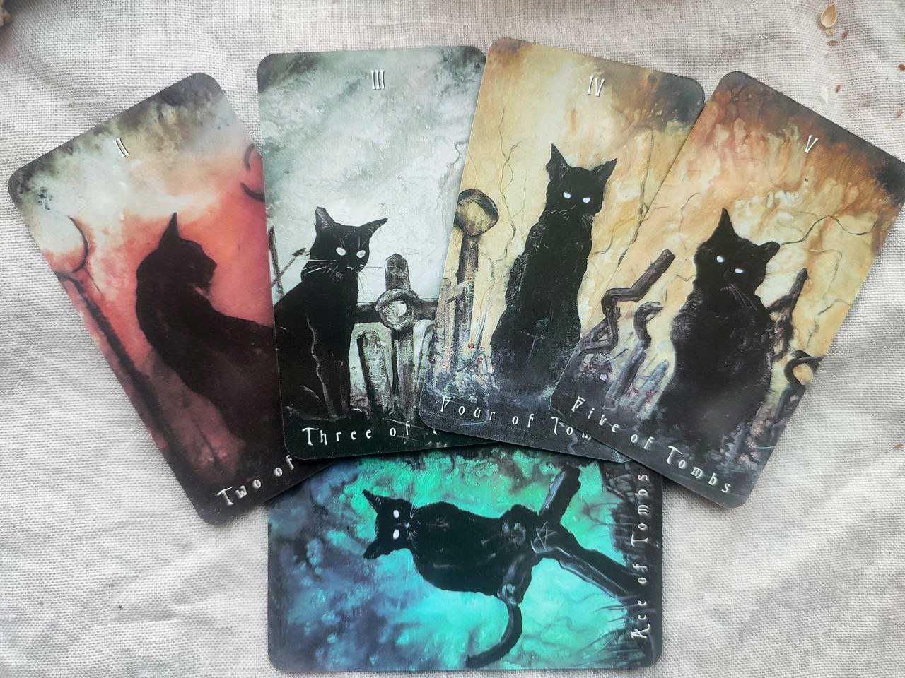 Гадальні карти таро примарного кота haunted cat tarot таро з котиками