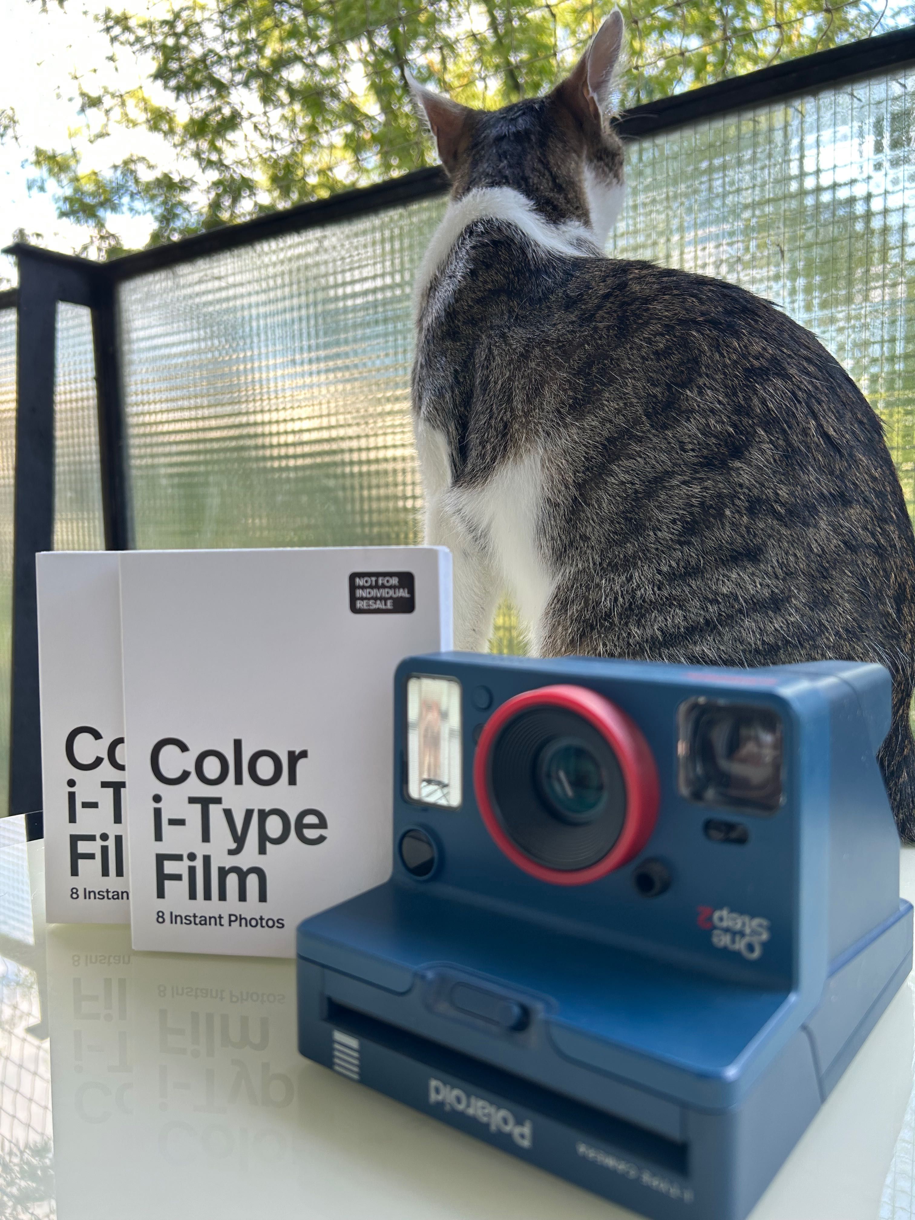 Polaroid Stranger Things + 2 filmy