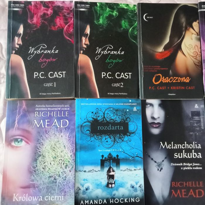 Bardzo duży zestaw ksiazek