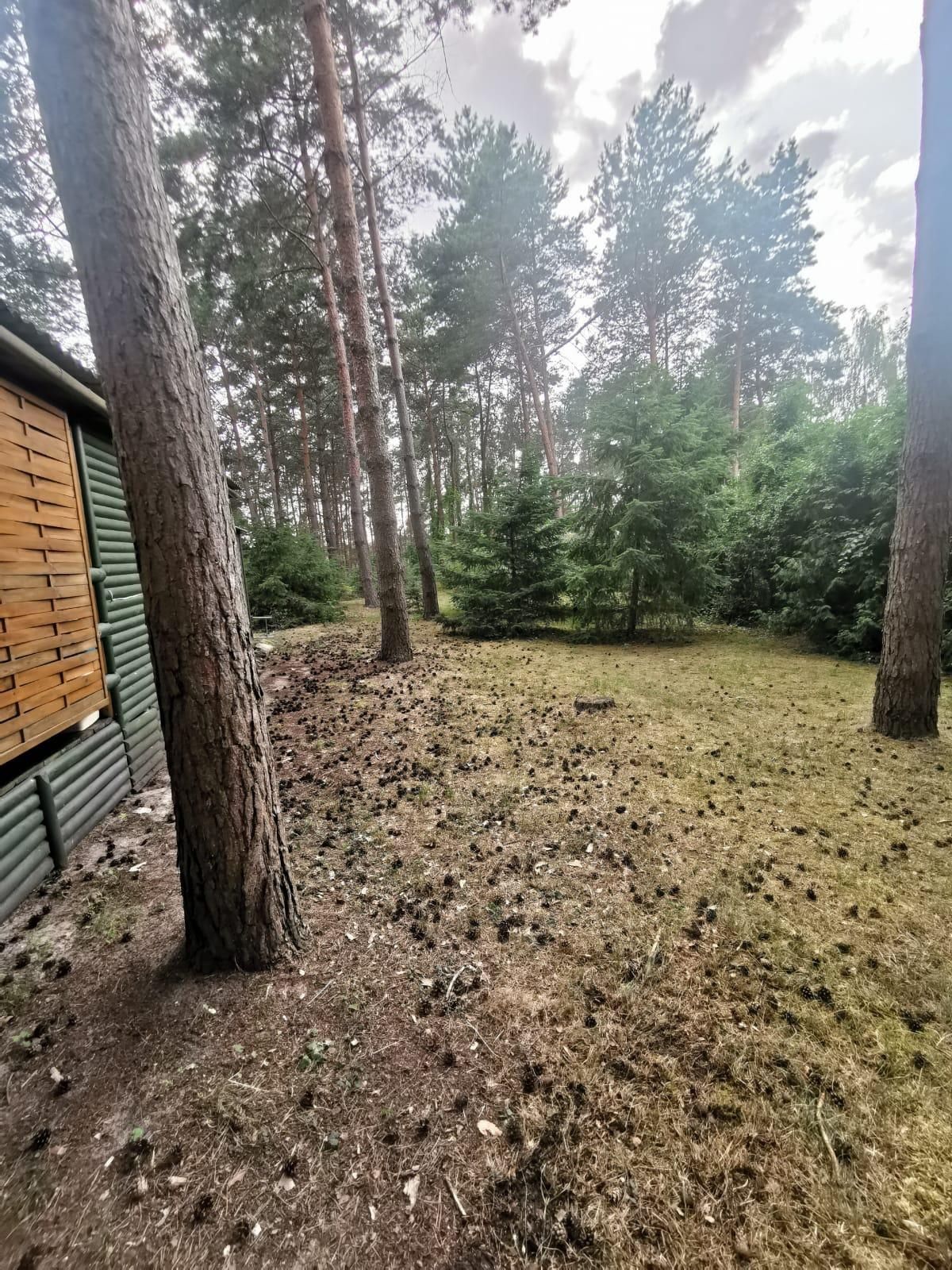 Sosnowy zakątek - domek na wynajem w pobliżu jeziora