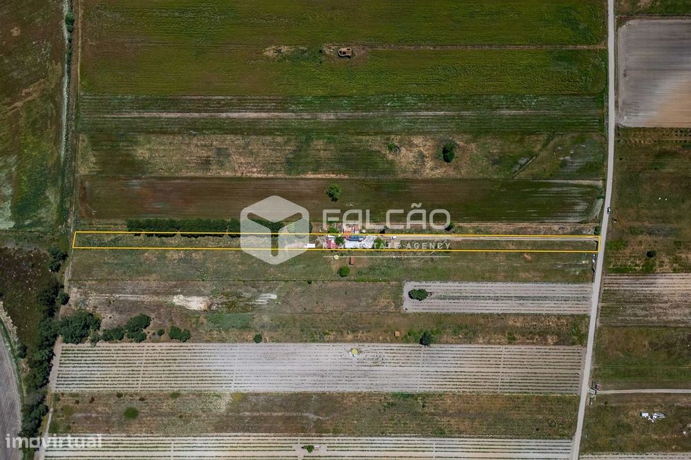 Terreno Rústico  Venda em Almeirim,Almeirim