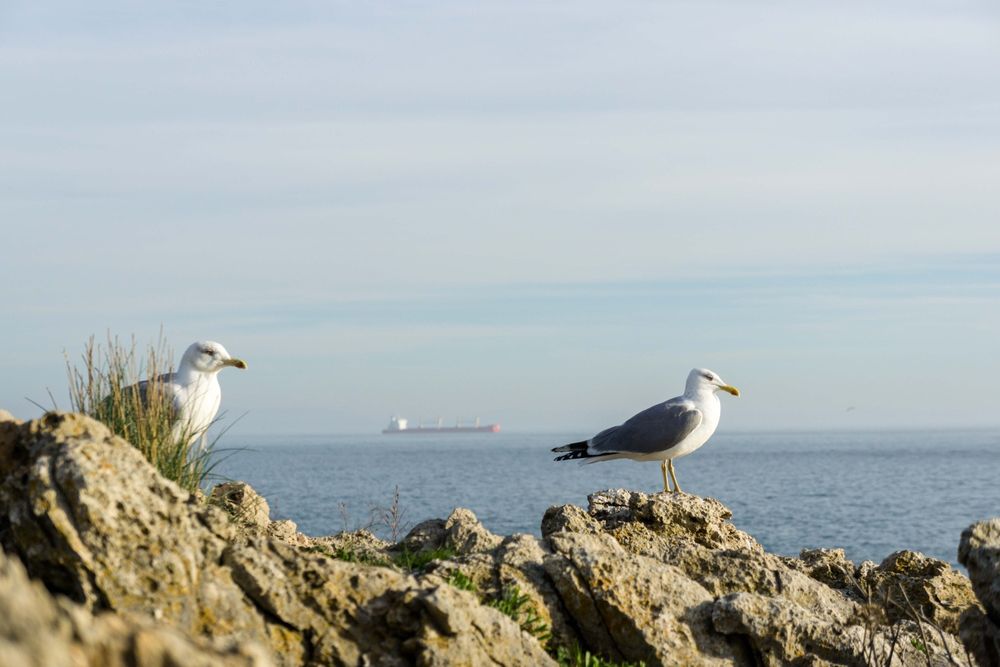 Câmera Mirrorless Sony Nex F3 ou Nex-F3 16 MP