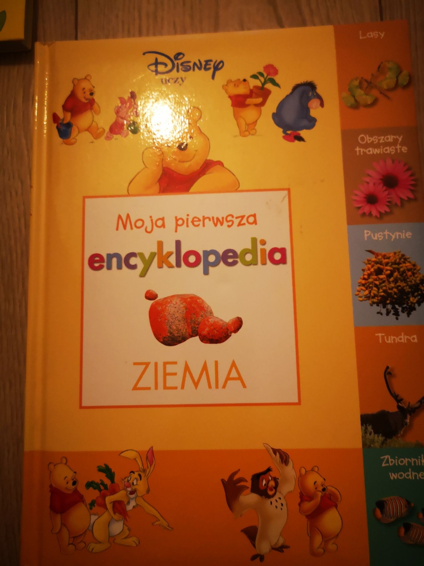 Encyklopedia Ziemia