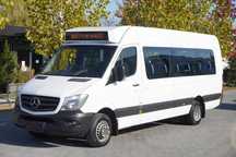 Mercedes-Benz Sprinter 516 CDI / Autobus szkolny / 23 miejsca / automat  _215534_
