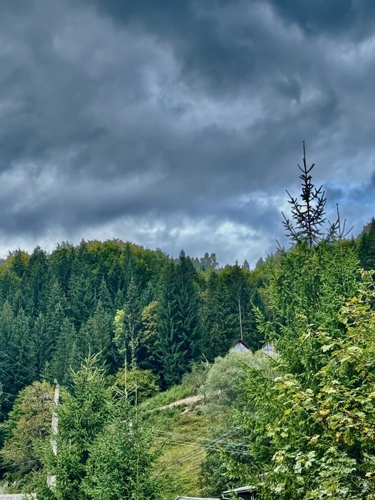 БУДИНОЧКИ В КАРПАТАХ | Королівське місце | ЧАН