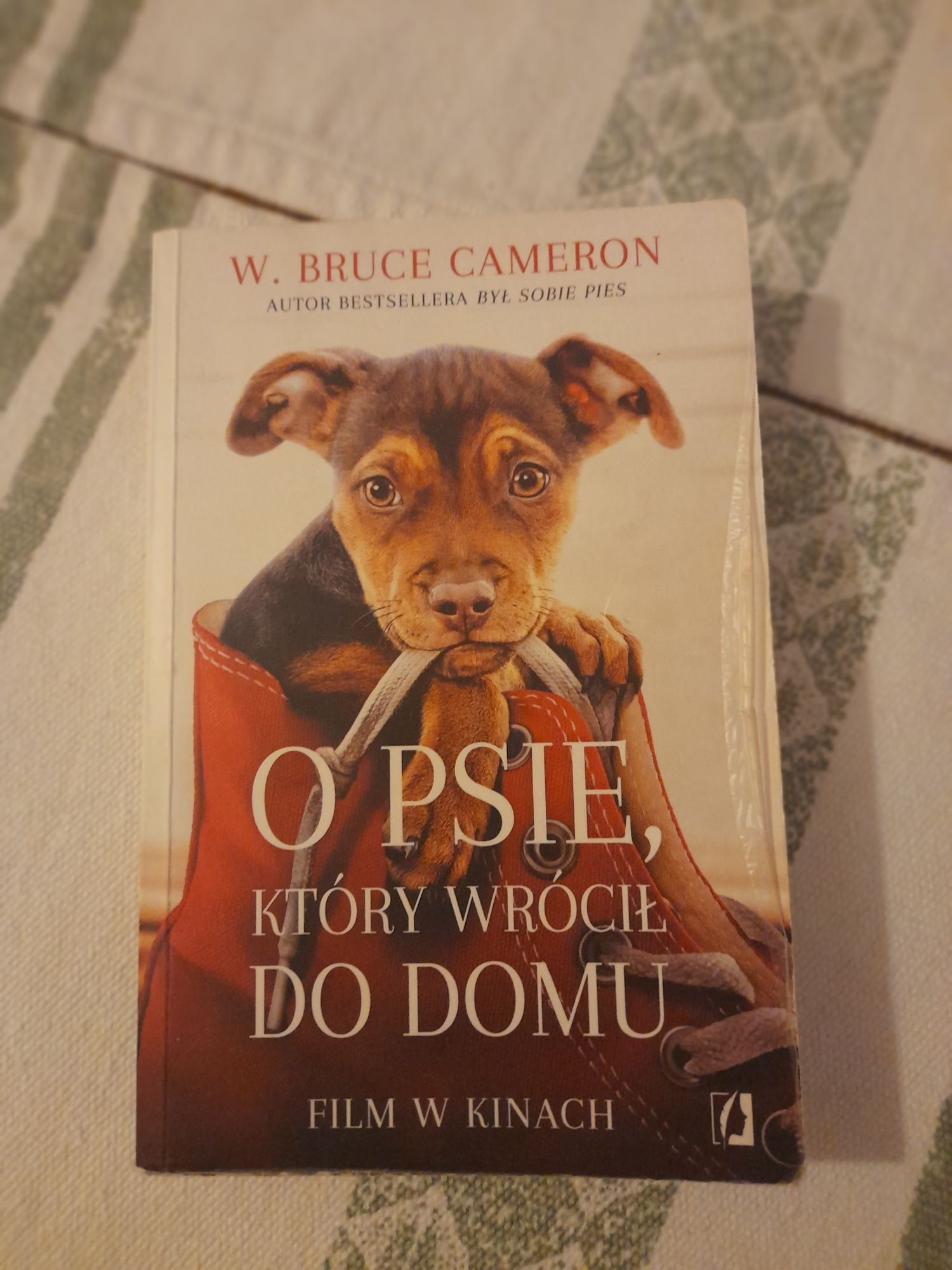 O psie, który wrócił do domu