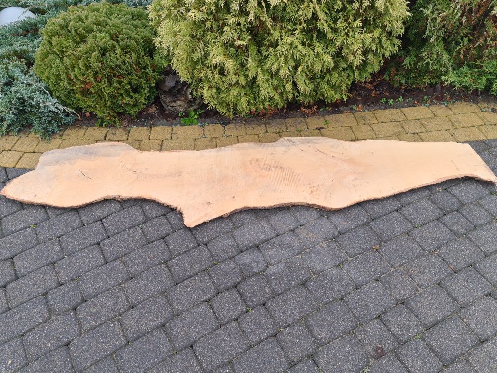 Blat z surowego drewna. Duży plaster drewna.