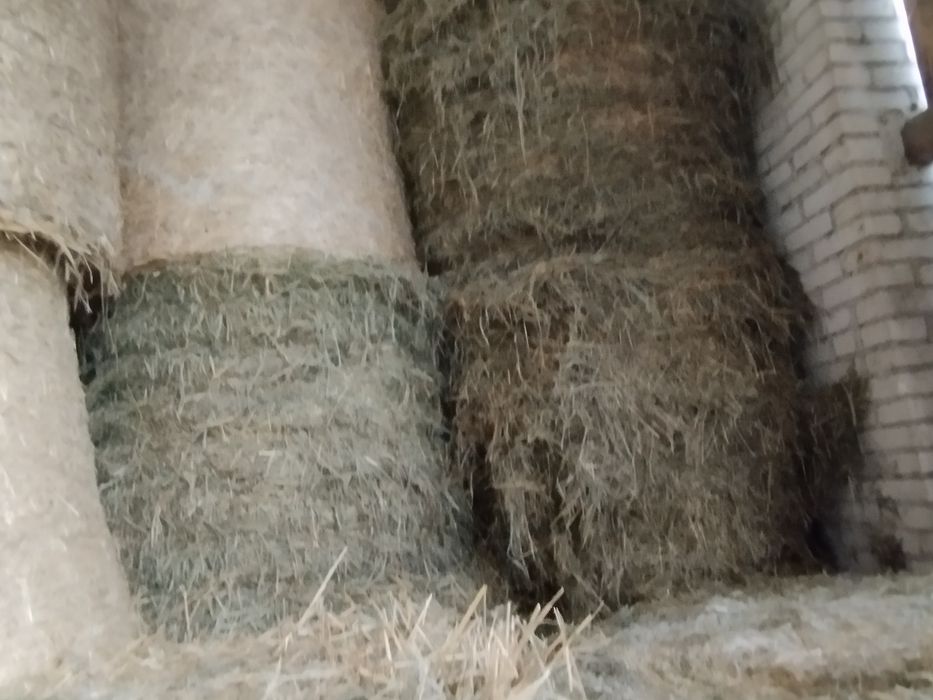 Ładne siano pogodne  suche