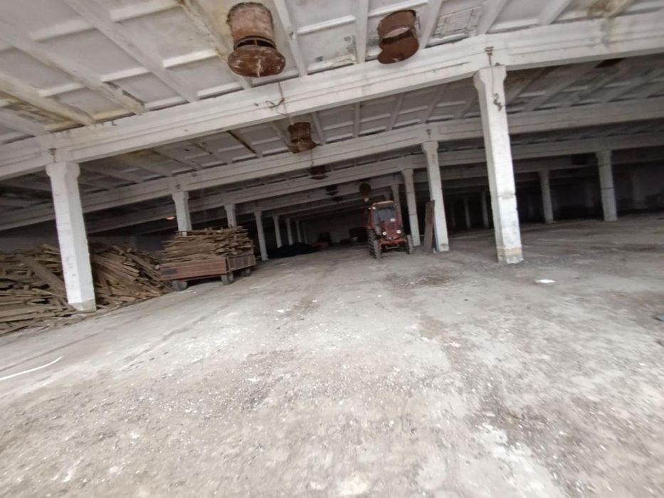 Агрокомплекс: птахофабрика + ферма з вирощування равликів, 19 га