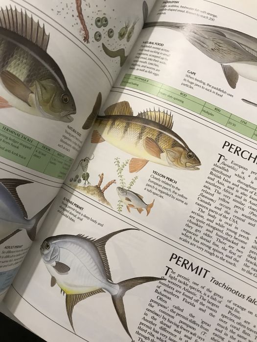 Pesca The complete book of fishing