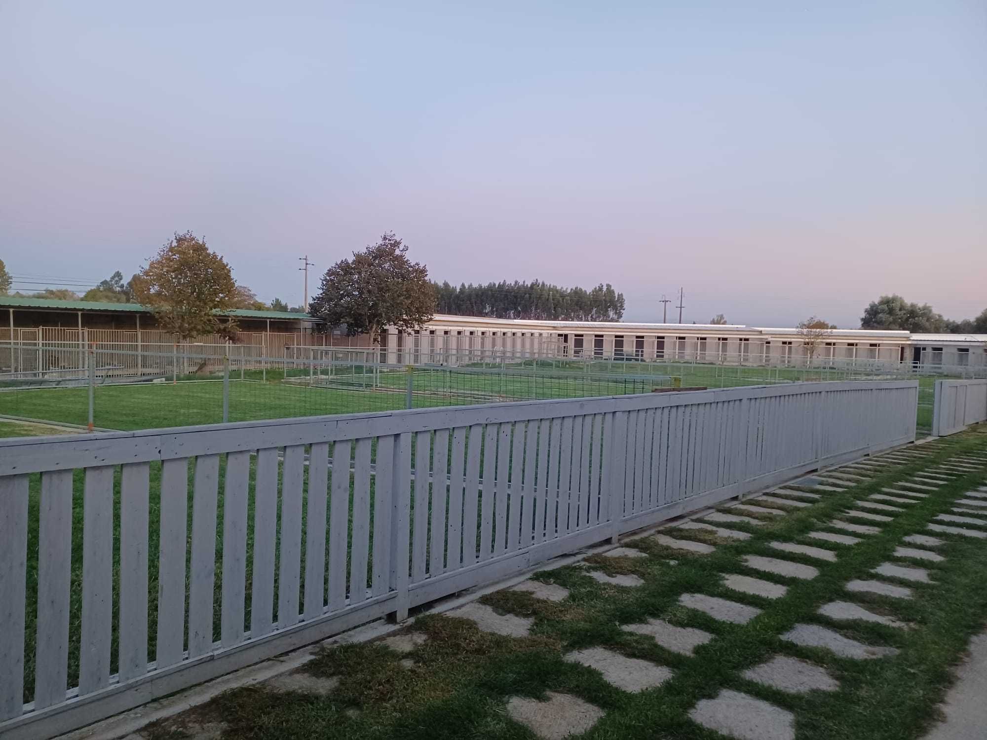 Hotel canino e felino - alojamento para cães e Gatos em coimbra