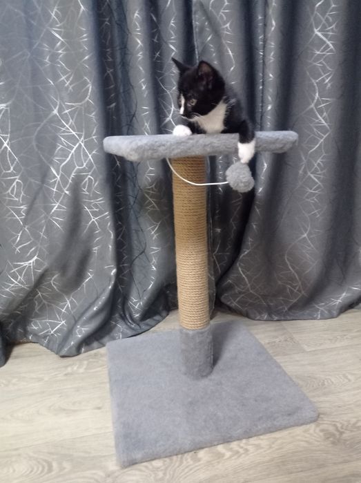 Когтеточка для котов. Дряпка з поличкою. Царапка.