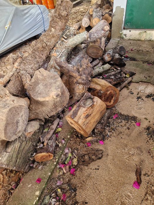 Lenha em bruto para lareira