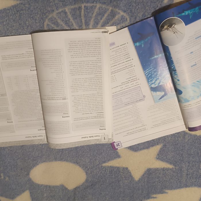 Solutions Third Edition Pre-Intermediate student's Book + Workbook